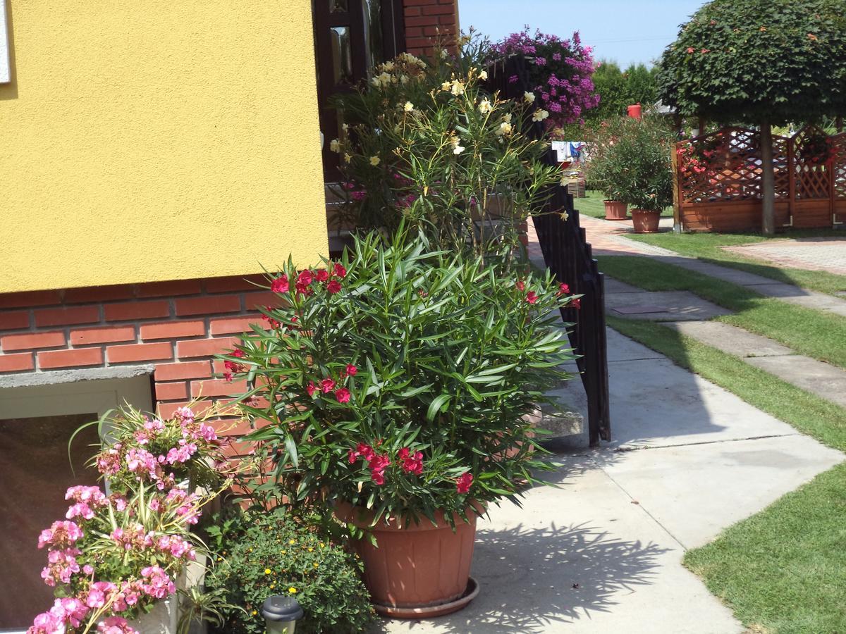 Holp Panzio Hotel Balatonfoldvar Bagian luar foto